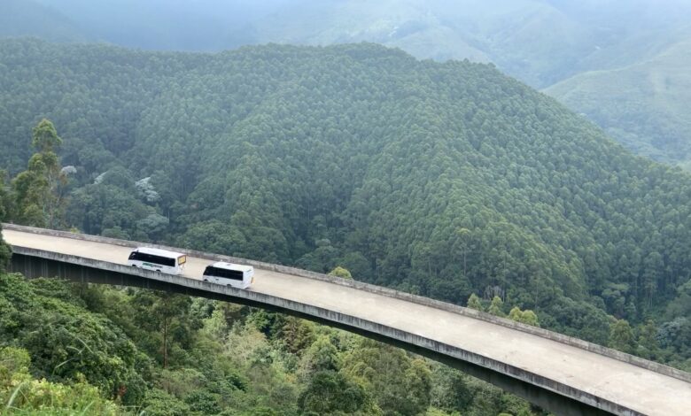 Obras del Túnel de La Línea de la mano con el medio ambiente. 3