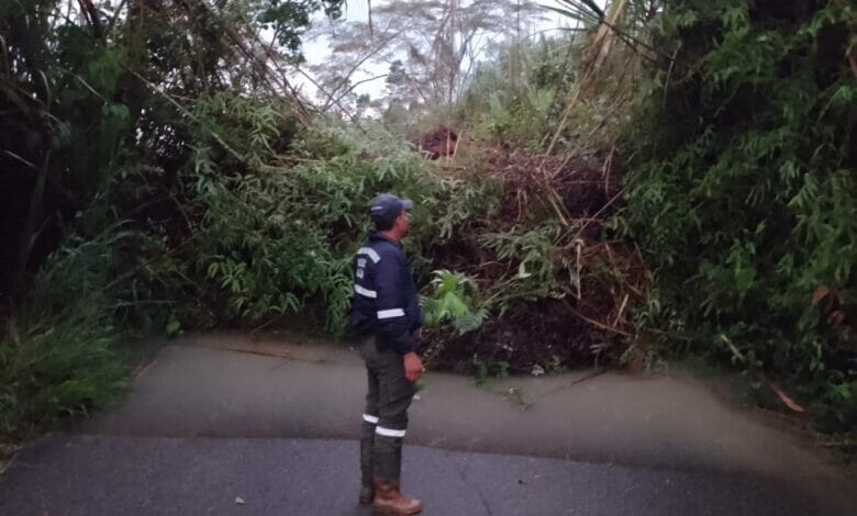 Emergencias por lluvias en seis municipios del Tolima. 9