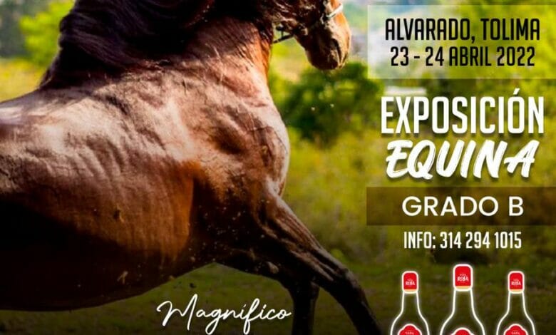 LA PASIÓN EQUINA SE VIVE CON AGUARDIENTE TAPA ROJA 13