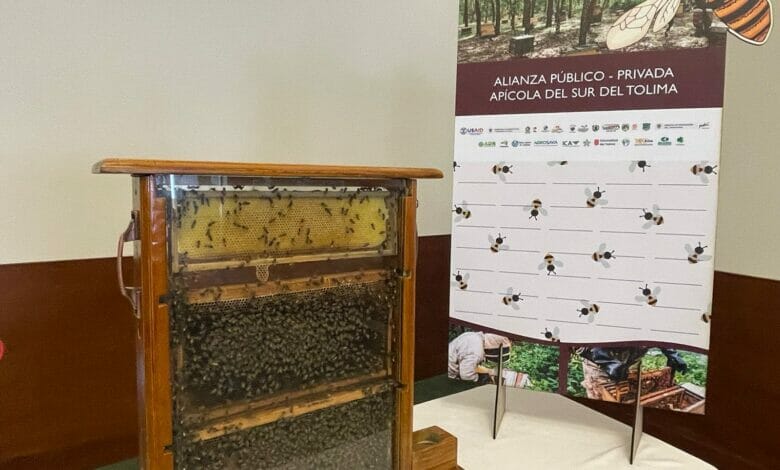 ”Las abejas están de moda”: Crean APP Apícola para el sur del Tolima. 12 ”Las abejas están de moda”: Crean APP Apícola para el sur del Tolima. 12