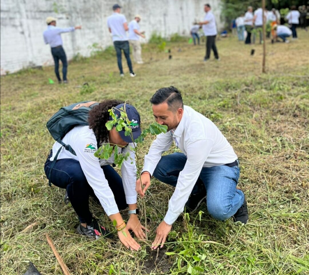 Inicia siembra de 14.000 árboles en el Tolima. 1