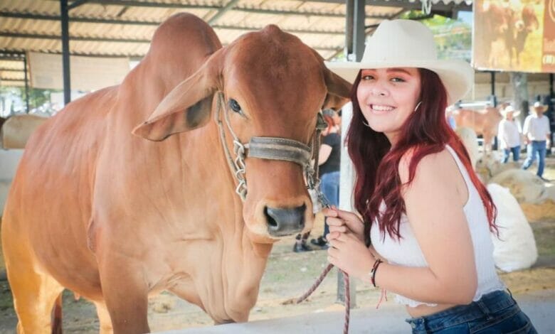 Conozca la programación de la Feria Sampedrina Bovina grado A y Show Equino. 10