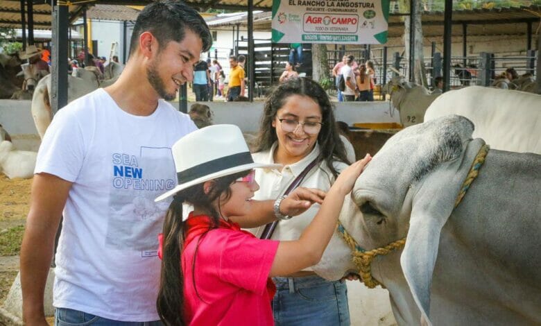 Más de 85 mil personas asistieron a la Feria Sampedrina Grado A y Show Equino. 1