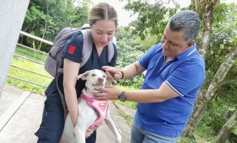 Gobierno departamental busca garantizar de manera permanente la atención gratuita de mascotas en Hospital Veterinario de la UT. 11 Gobierno departamental busca garantizar de manera permanente la atención gratuita de mascotas en Hospital Veterinario de la UT. 11