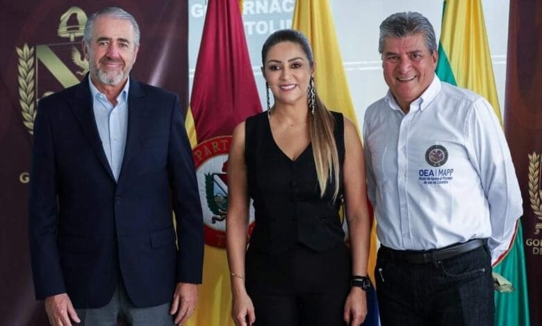 Misión de Apoyo al Proceso de Paz en Colombia de la OEA estará en el consejo de seguridad en Planadas. 1