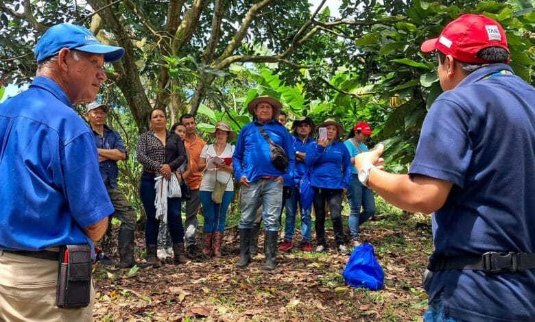 La UT impulsa modelo de apropiación social del conocimiento con más de 800 productores agrícolas del Tolima* 1 La UT impulsa modelo de apropiación social del conocimiento con más de 800 productores agrícolas del Tolima* 1