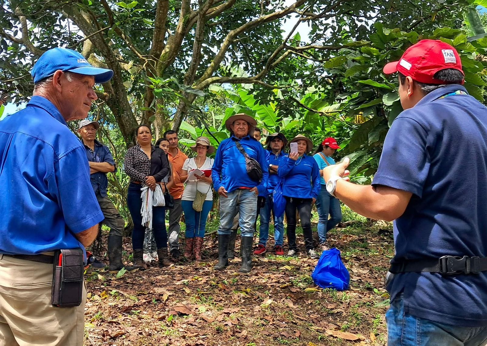 La UT impulsa modelo de apropiación social del conocimiento con más de 800 productores agrícolas del Tolima* 1