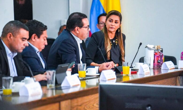 *“Pedimos que se excluya a los licores y cigarrillos del Decreto 1474”: gobernadora del Tolima* 10