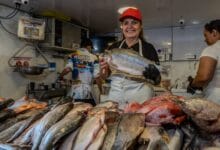 En Semana Santa no coma cuento, coma pescado de las plazas de mercado de Ibagué* 11