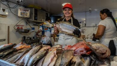En Semana Santa no coma cuento, coma pescado de las plazas de mercado de Ibagué* 7