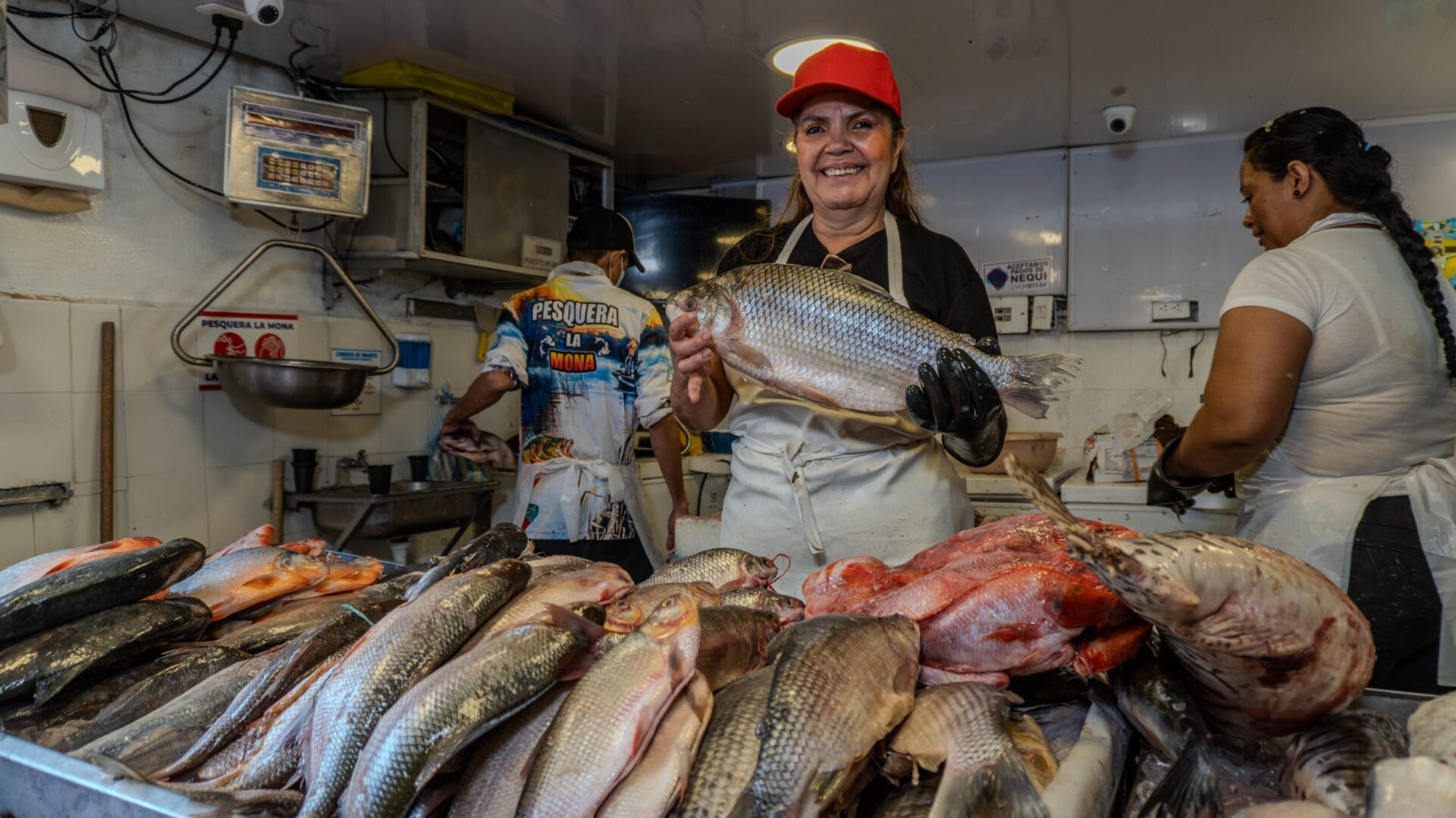 En Semana Santa no coma cuento, coma pescado de las plazas de mercado de Ibagué* 1 En Semana Santa no coma cuento, coma pescado de las plazas de mercado de Ibagué* 1