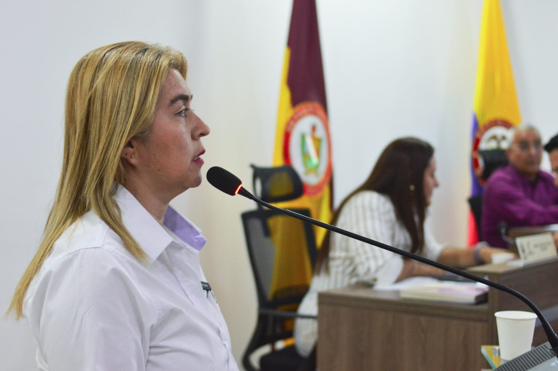 Gobernación del Tolima propone beneficio del 50% en intereses en el pago del impuesto de registro, para legalización de escrituras pendientes.* 1