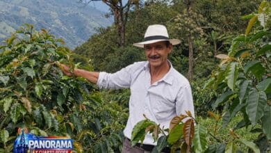 ENTRE CAFETALES, MONTAÑAS Y AMOR: LA ESPERANZA DE UN SOÑADOR 2