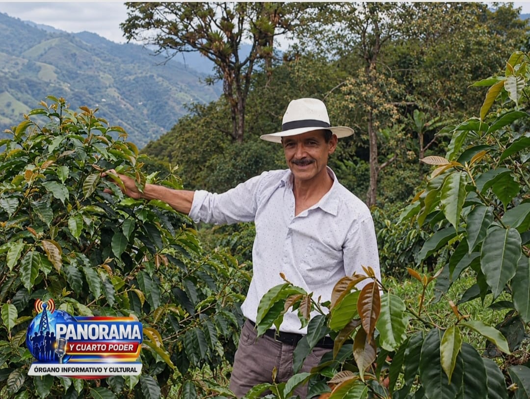 ENTRE CAFETALES, MONTAÑAS Y AMOR: LA ESPERANZA DE UN SOÑADOR 1